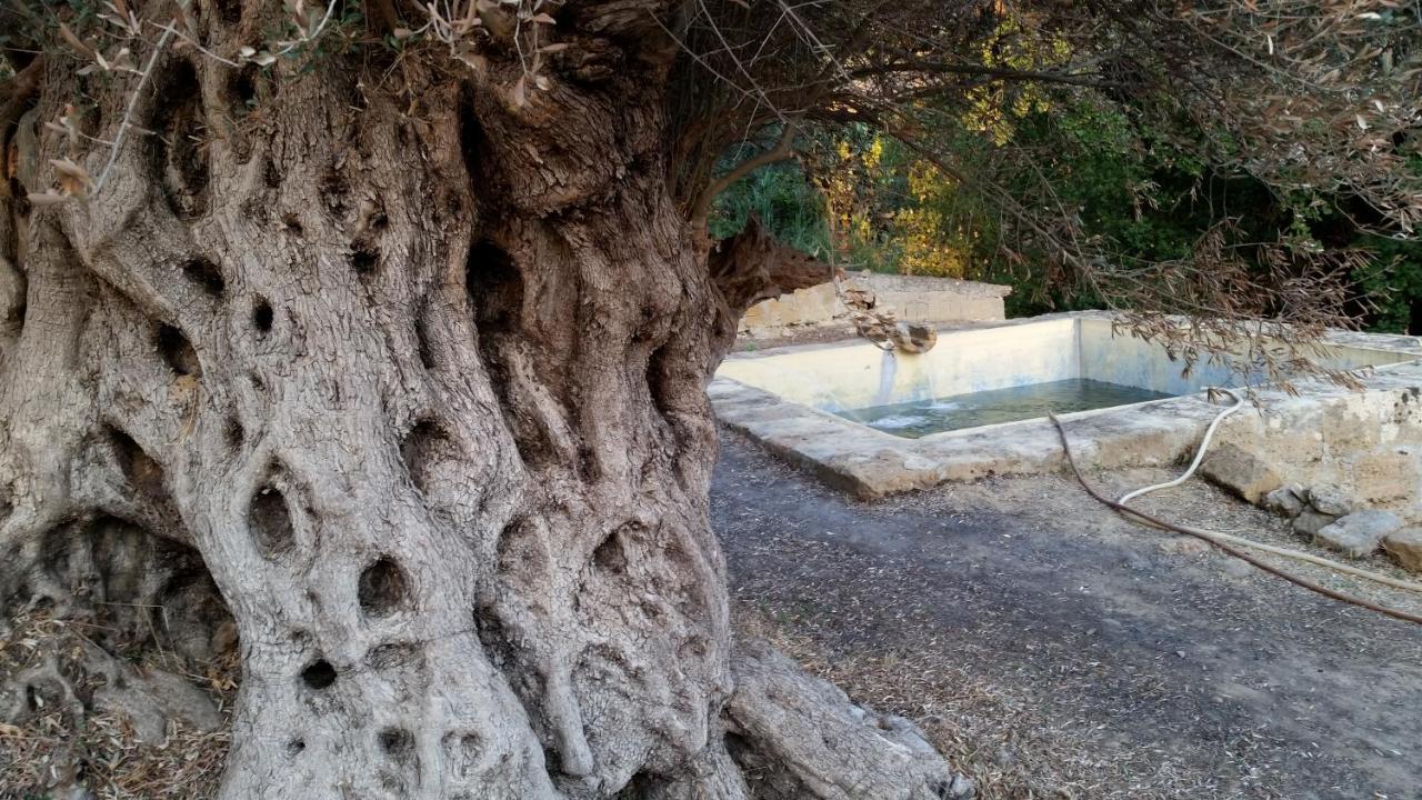 La Villa Di Minerva Agrigento Exteriör bild