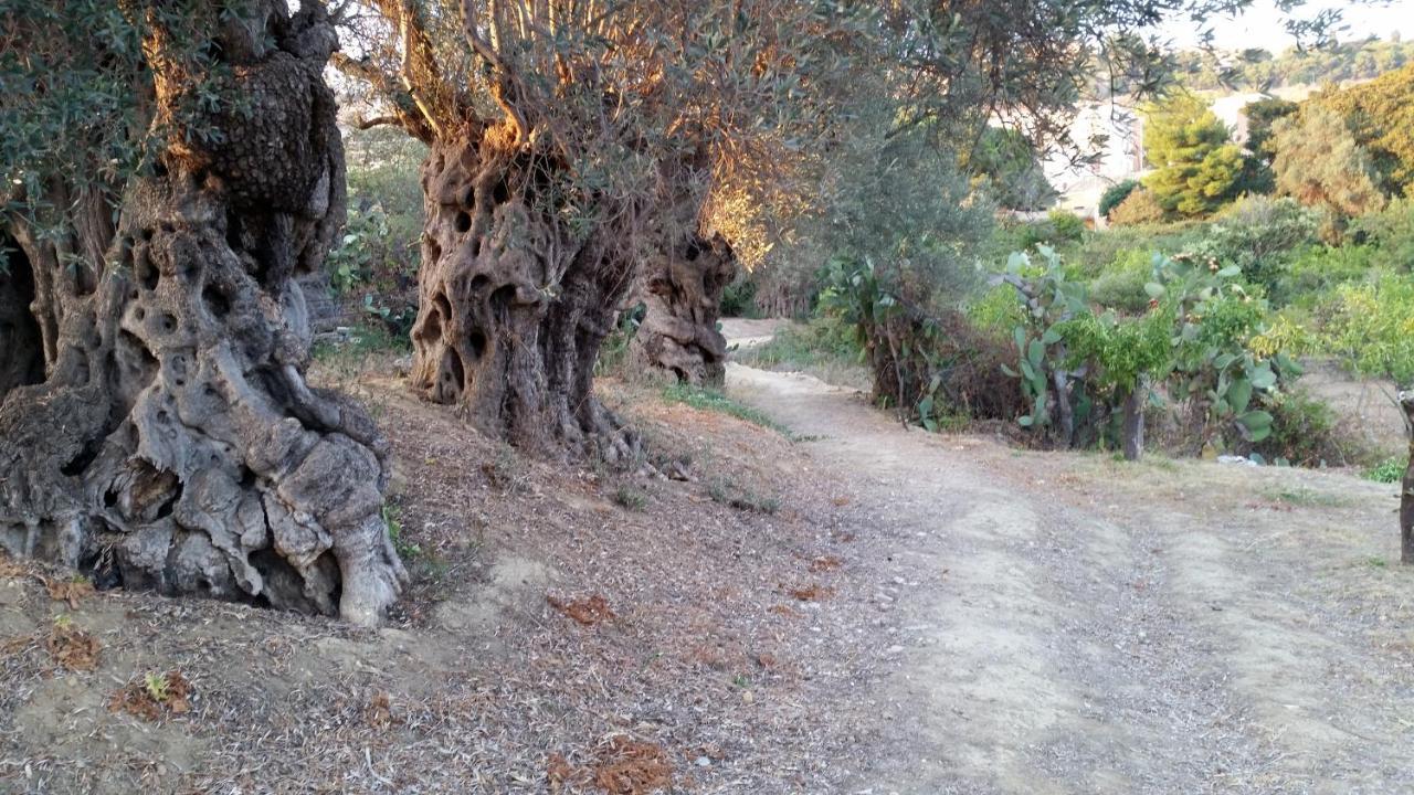 La Villa Di Minerva Agrigento Exteriör bild